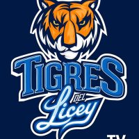 Licey en vivo – Tigres del Licey TV online