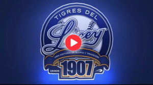 Licey stream en vivo
